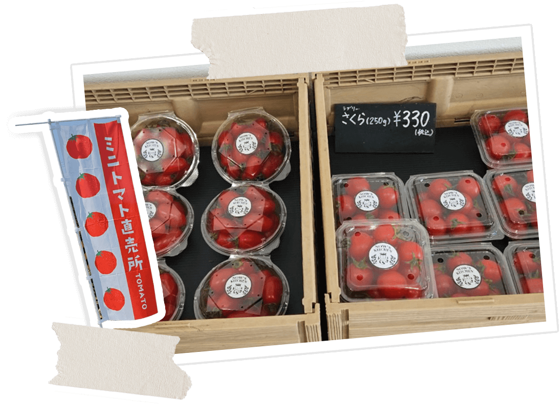 ミニトマト(直売)